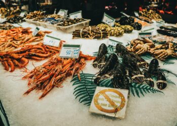 Explore New Zealand’s South Island through Tiny Seafood Stands