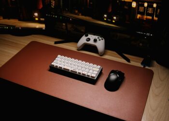 The Great Debate: Mouse and Keyboard vs. Controller in the German Gaming Community