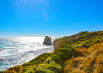 South Australia’s Culinary Renaissance