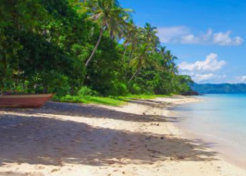 A Comprehensive Look at Its History and Offerings