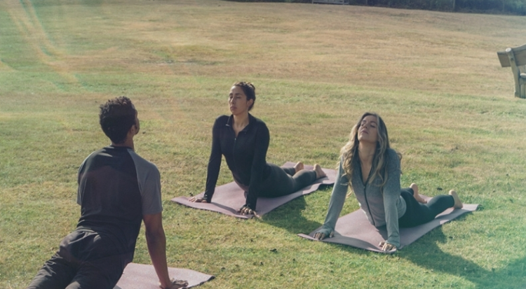 A Haven of Wellness and Luxury