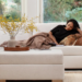 Albany Park’s Furniture Collections