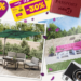 De One-Stop Shop for Betaalbare Woon-en Tuinartikelen