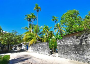 Unique Treepod Restaurant in Thailand: Ziplining Waiters and Breathtaking Views