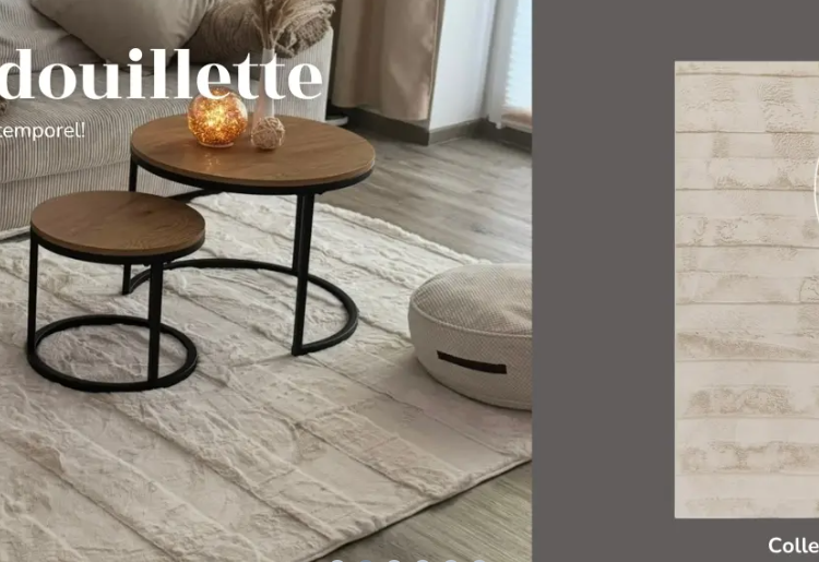 Tapis : L’Art de Sublimer Votre Intérieur avec Élégance