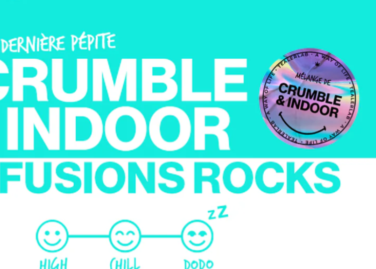 Tealerlab : L’expérience unique de la mode éthique et durable