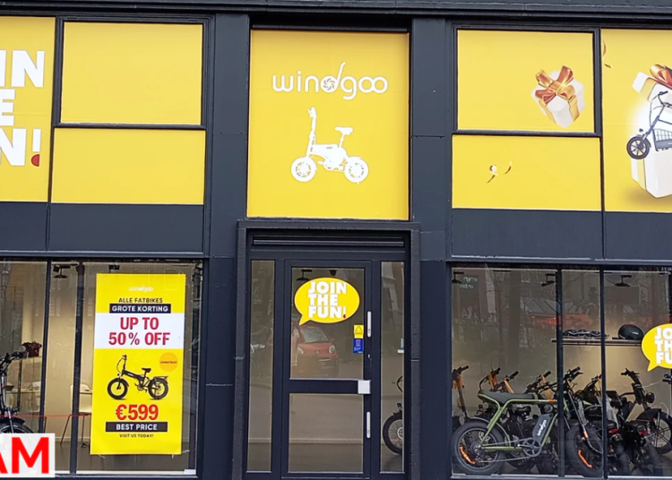 Une solution pratique pour la mobilité urbaine avec Windgoo