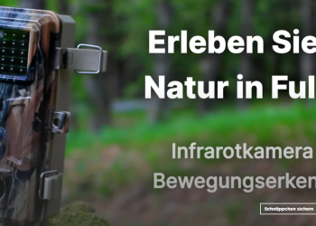 BlazeVideos: Ihr Partner für Hochwertige Videoservices