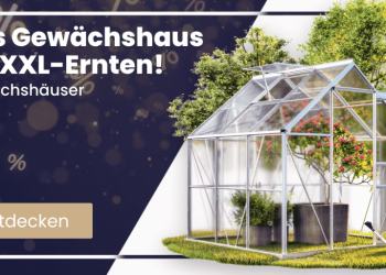 Deubaxxl: Ein Blick auf ihre besonderen Produkte und Angebote