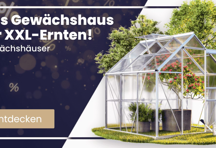 Deubaxxl: Ein Blick auf ihre besonderen Produkte und Angebote