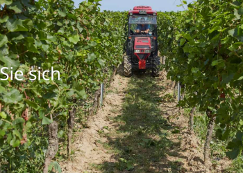 Klenert Wein – Ein Highlight für Weinkenner und Genießer