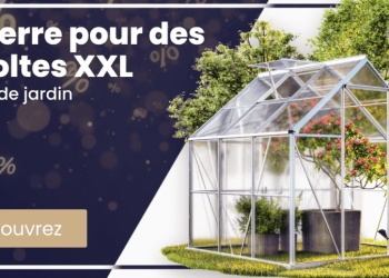DeubaXXL : Une large gamme de produits pour équiper la maison et le jardin