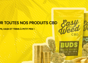 Pourquoi choisir Easyweed pour vos besoins en CBD ?