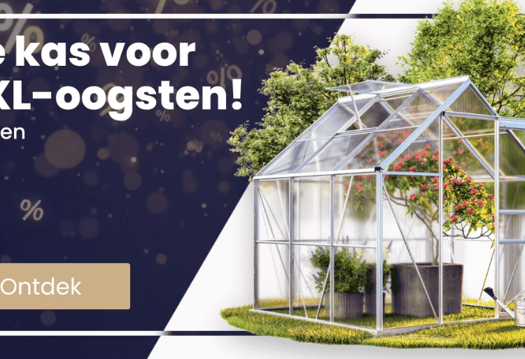 Deubaxxl: Hoogwaardige Producten voor Elk Moment