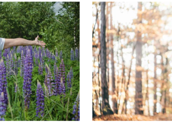 NYSM Fit: Elevating Your Fitness Experience