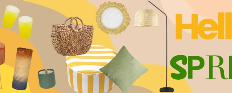 What Makes Conforama Special in the Swiss Market