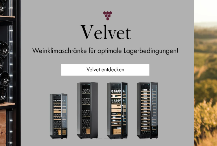 Why Die Weinlageristen is the Perfect Choice for Wine Enthusiasts in Germany