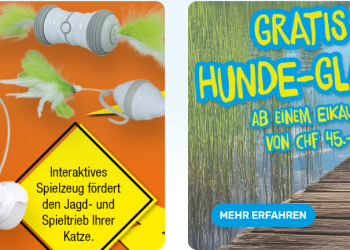 Why Swiss Pet Owners Choose Qualipet for Their Pets’ Needs