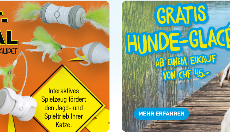 Why Swiss Pet Owners Choose Qualipet for Their Pets’ Needs