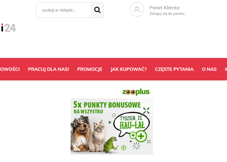 Professionelle Reinigung und maßgeschneiderte Servicepakete mit Promki24