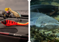 fischen.ch: Your Trusted Source for Fishing Gear and Expertise