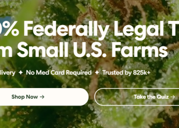 Mood: A Brand That Connects Cannabis, Community, and Culture