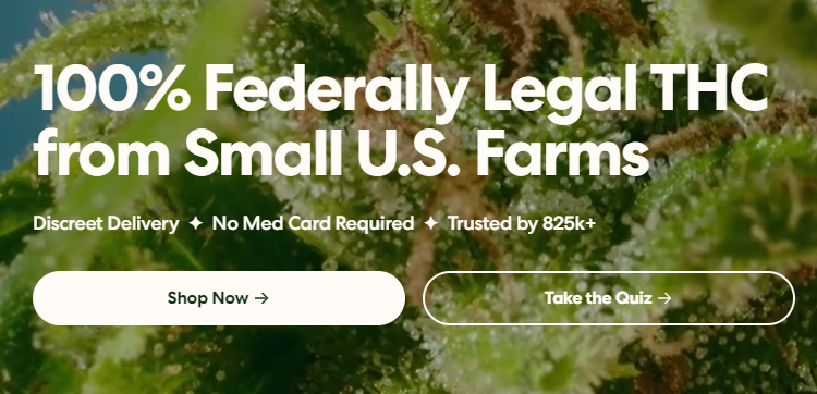 Mood: A Brand That Connects Cannabis, Community, and Culture