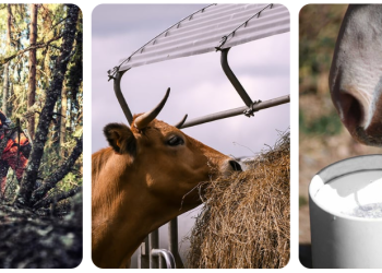 Hauptner: A Comprehensive Partner for Agriculture, Animal Care, and Equestrian Needs