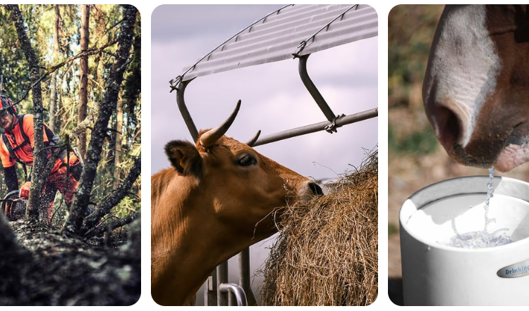 Hauptner: A Comprehensive Partner for Agriculture, Animal Care, and Equestrian Needs