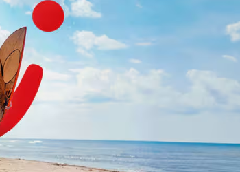 TUI Switzerland: A Local Travel Powerhouse