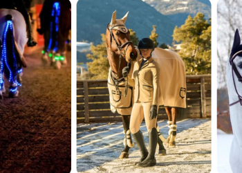 Reitsport: Switzerland’s Trusted Equestrian Retailer