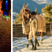 Reitsport: Switzerland’s Trusted Equestrian Retailer