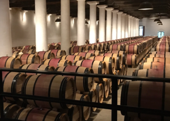 Selection Schwander: Switzerland’s Wine Connoisseur Boutique