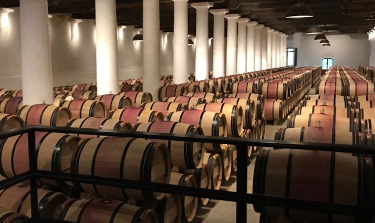 Selection Schwander: Switzerland’s Wine Connoisseur Boutique