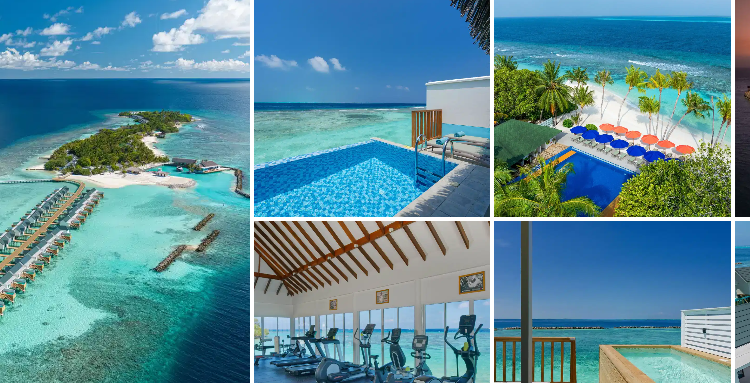 Who Is Helvetic Tours? A Swiss Travel Specialist