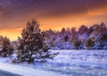 Who Is Tirendo? The Swiss Online Tyre Specialist