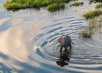 Who Is Kuoni? A Heritage Swiss Travel Brand