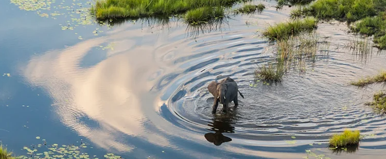 Who Is Kuoni? A Heritage Swiss Travel Brand