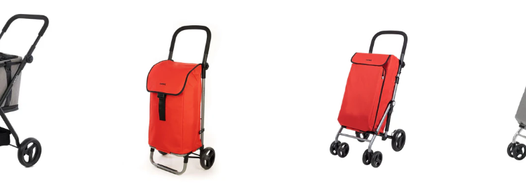 Who Is Shopping-Trolley? A Swiss E-Commerce Platform