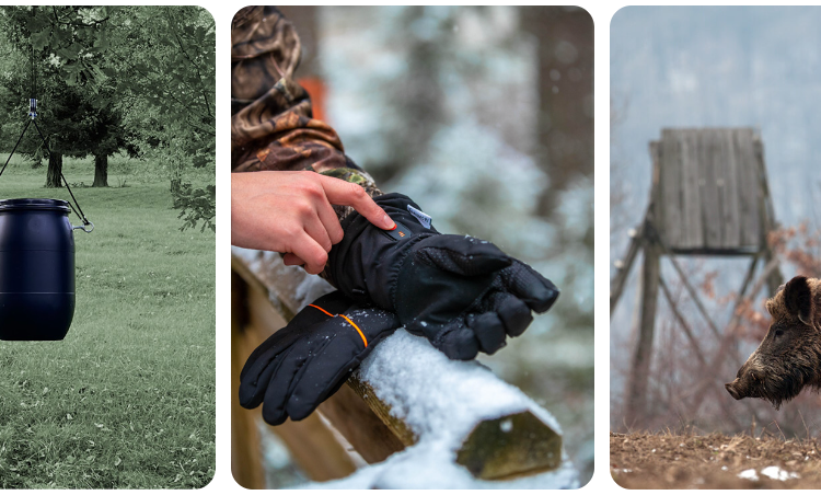 What Makes Hauptner Jagd Special in a Swiss Context