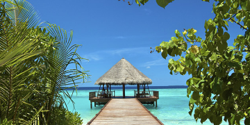 What Makes Lastminute Special from a Swiss Perspective