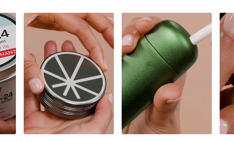 The Value Behind Releaf and What Sets the Brand Apart