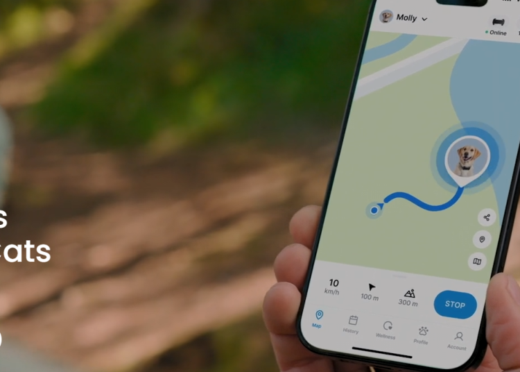 Tractive: Die beste Lösung für die Ortung von Haustieren