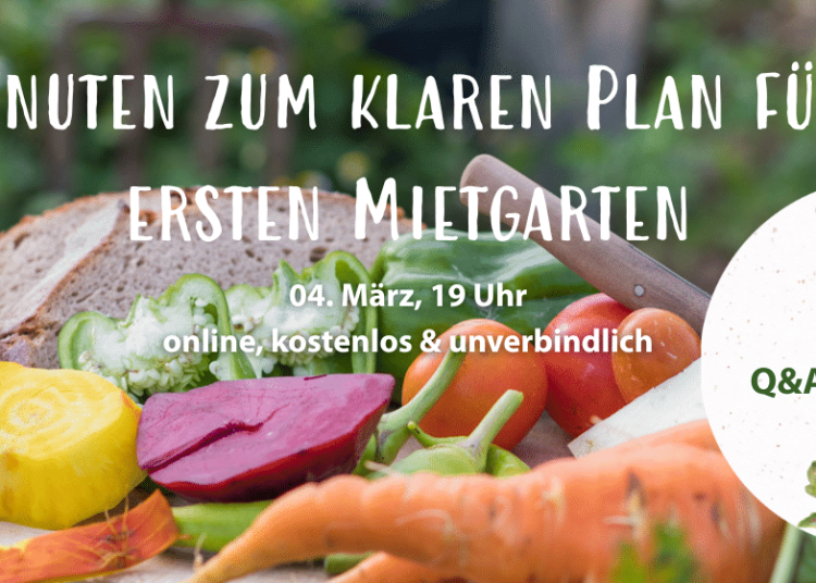 Meine Ernte – Frisches Gemüse direkt vom Feld