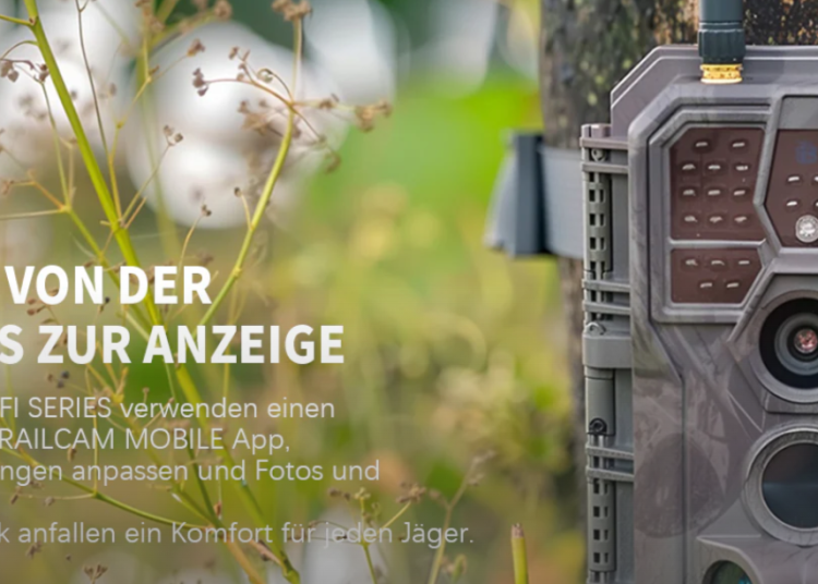 BlazeVideo: Ein ausführlicher Blick auf den Anbieter für Videobearbeitung und Multimedia-Software