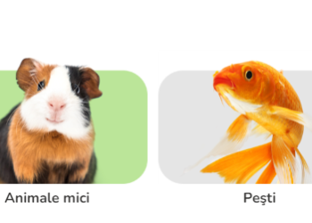 Wie Zooplus den Alltag von Tierbesitzern bereichert