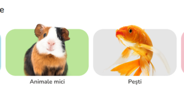 Wie Zooplus den Alltag von Tierbesitzern bereichert