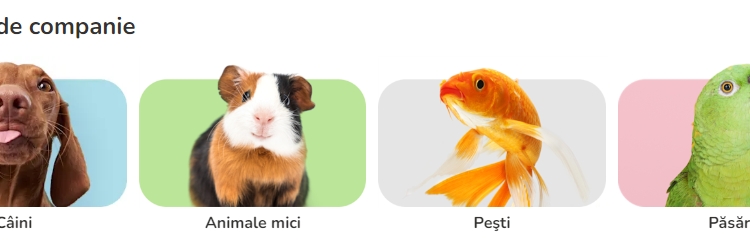 Wie Zooplus den Alltag von Tierbesitzern bereichert