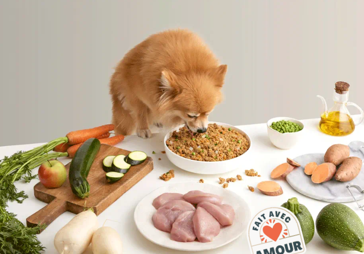 Alimentation saine et équilibrée pour chiens