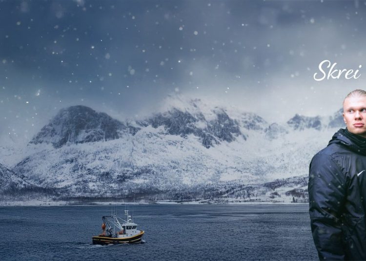 Frischeparadies – Hochwertige Lebensmittel für Feinschmecker